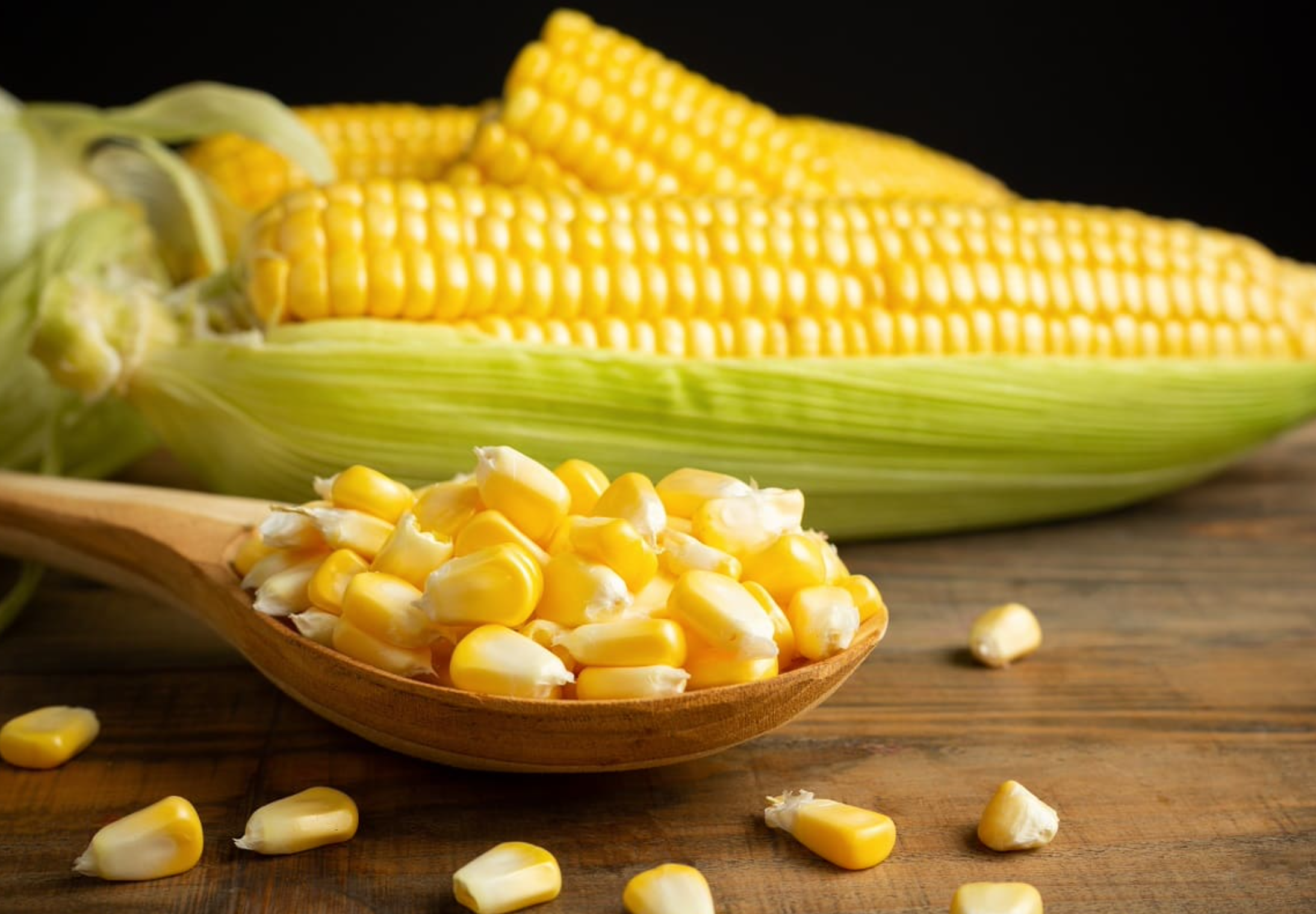 México importará hasta 16 millones toneladas de maíz en 2024